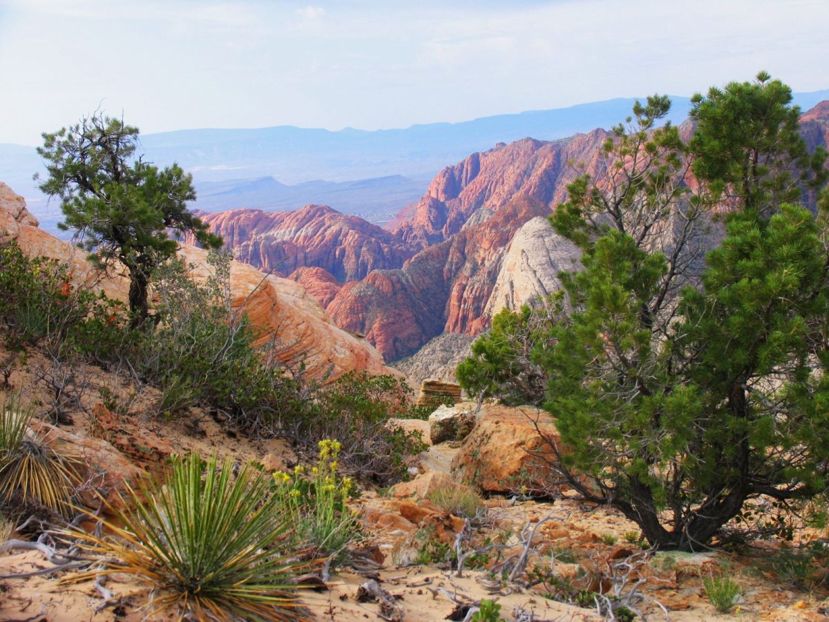 St. George window installation